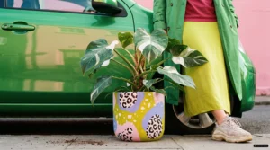 Kampagnenbild einer Philodendron Pflanze in einem bunten Pflanzentopf mit grünem, blauen und pinked Terrazzo- und Leoparden-Muster auf dem Bürgersteig vor einem grünen Auto und einer Frau im grünen Outfit, die sich an das Auto lässig anlehnt.